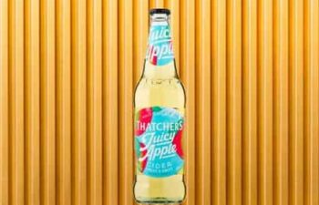 thatchers juicy apple cider
