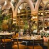the ivy