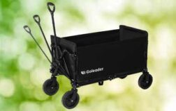 festival wagon trolley